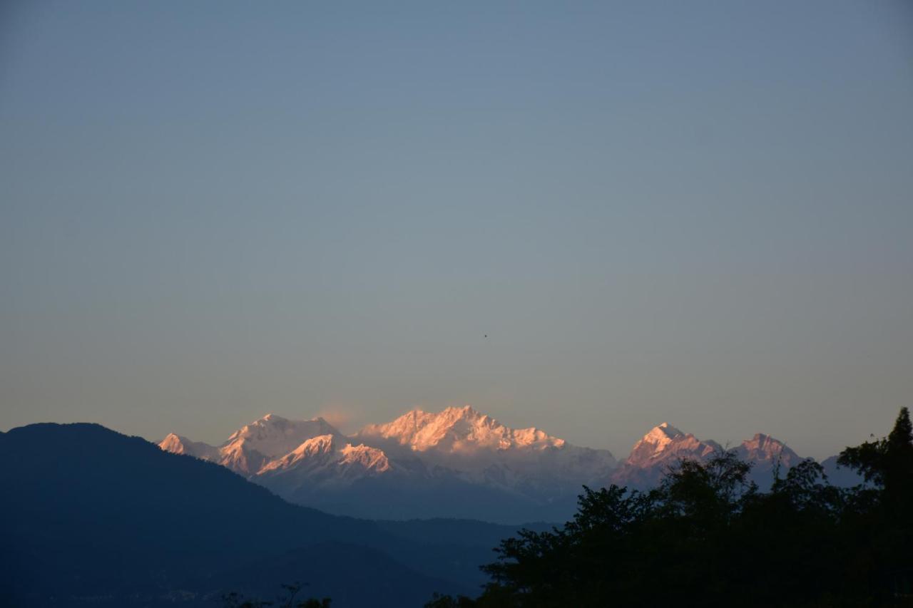 Singtom Tea Estate&Resort Darjeeling  Exterior foto