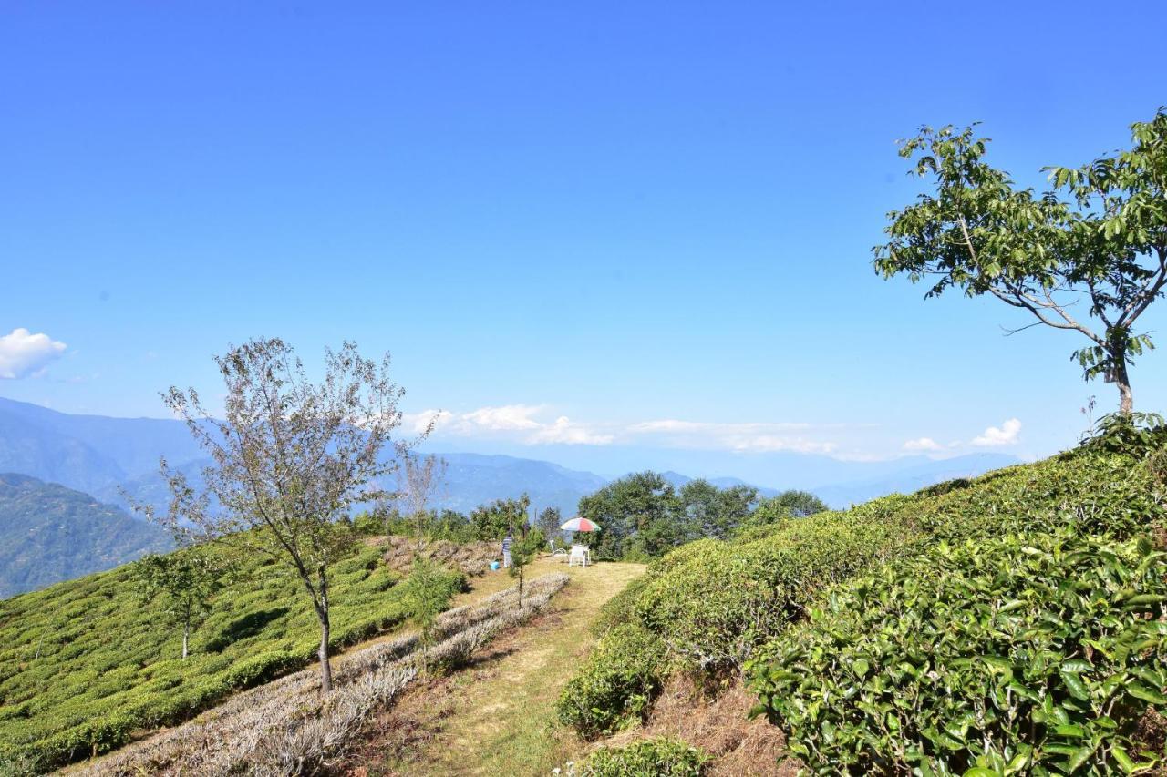 Singtom Tea Estate&Resort Darjeeling  Exterior foto